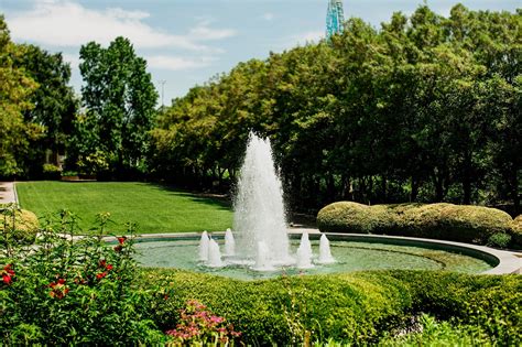 Texas discovery gardens - The Westin Dallas Park Central. North Dallas. ‐. 10.1 mi from Texas Discovery Gardens. 8.2/10 Very Good! (1,262 reviews) Flexible booking options on most hotels. Compare 3,022 hotels near Texas Discovery Gardens in South Dallas using 22,072 real guest reviews. Get our Price Guarantee & make booking easier with Hotels.com!